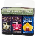 Orchid Focus Gift Pack