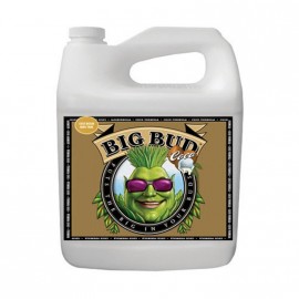 Big Bud Coco Liquid 5L