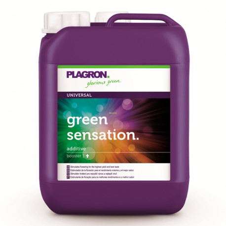Green Sensation 5 литров