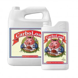 CarboLoad  Liquid 10 л