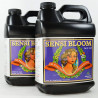 Advanced Nutrients Sensi Bloom A/B 10 л