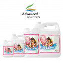 Advanced Nutrients Bud Candy 20 л