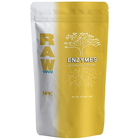 RAW Enzymes 57 гр